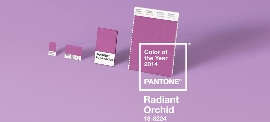 radiant-ochid-couleur-pantone-2014-07