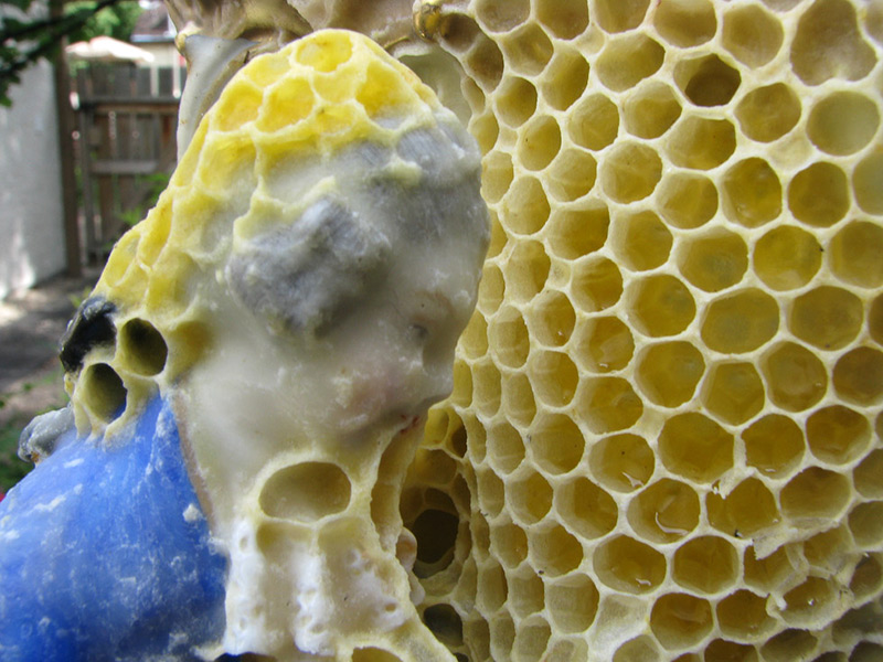 sculpture-abeille-09