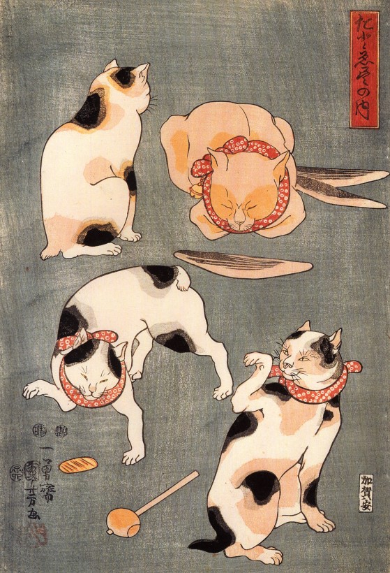 chat-japon-estampe-bois-Utagawa-Kuniyoshi-03