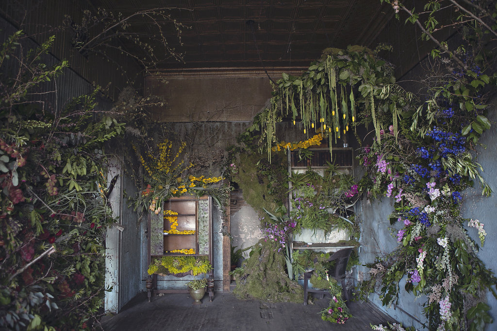 Des fleuristes envahissent une maison abandonnée