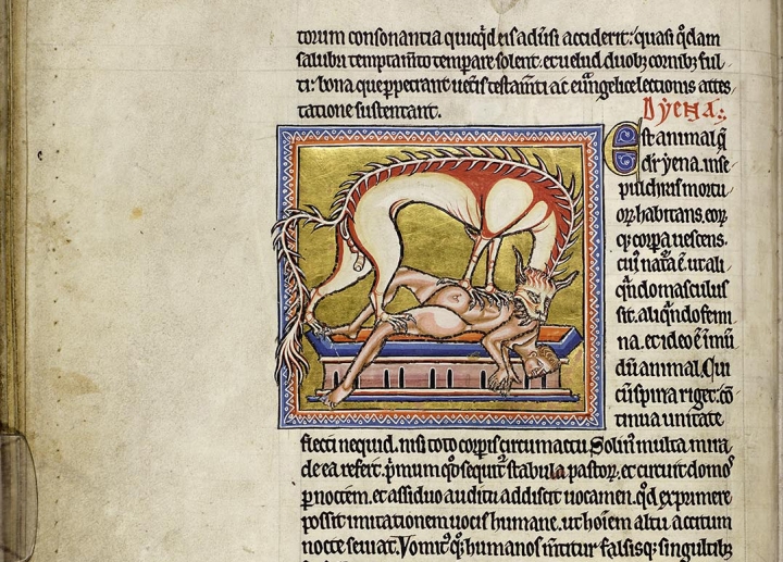 Le magnifique manuscrit du bestiaire d’Aberdeen en haute résolution